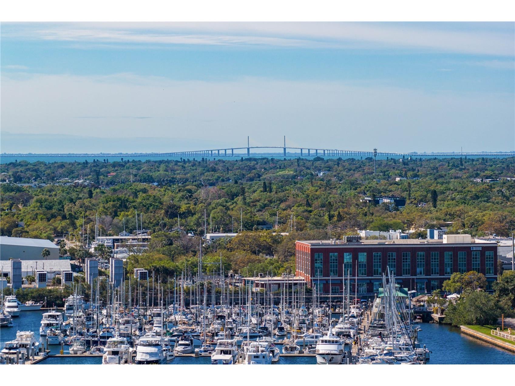 199 Dali Boulevard #1002 Saint Petersburg FL 33701 - TAMPA BAY TB8493503 image64