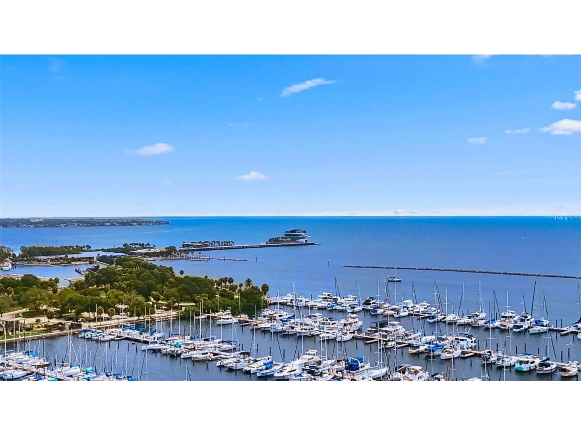 199 Dali Boulevard #1106 Saint Petersburg FL 33701 - TAMPA BAY TB8530916 image1