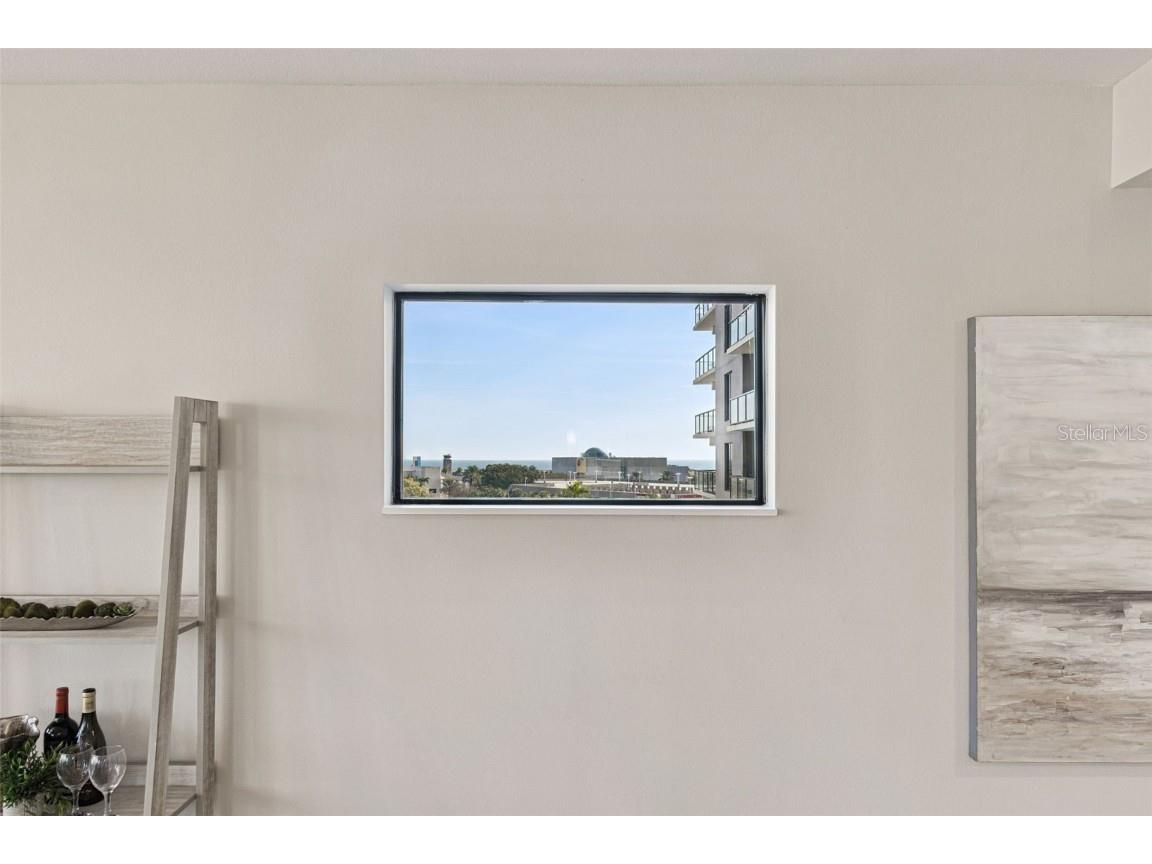 199 Dali Boulevard #607 Saint Petersburg FL 33701 - TAMPA BAY TB8394365 image11