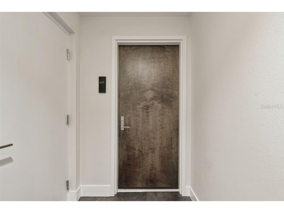 199 Dali Boulevard #607 Saint Petersburg FL 33701 - TAMPA BAY TB8394365 image54