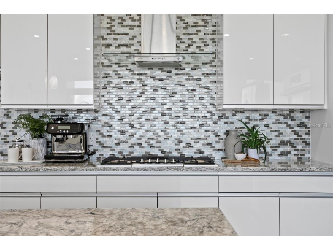 199 Dali Boulevard #PH-2 Saint Petersburg FL 33701 TB8448021 image36