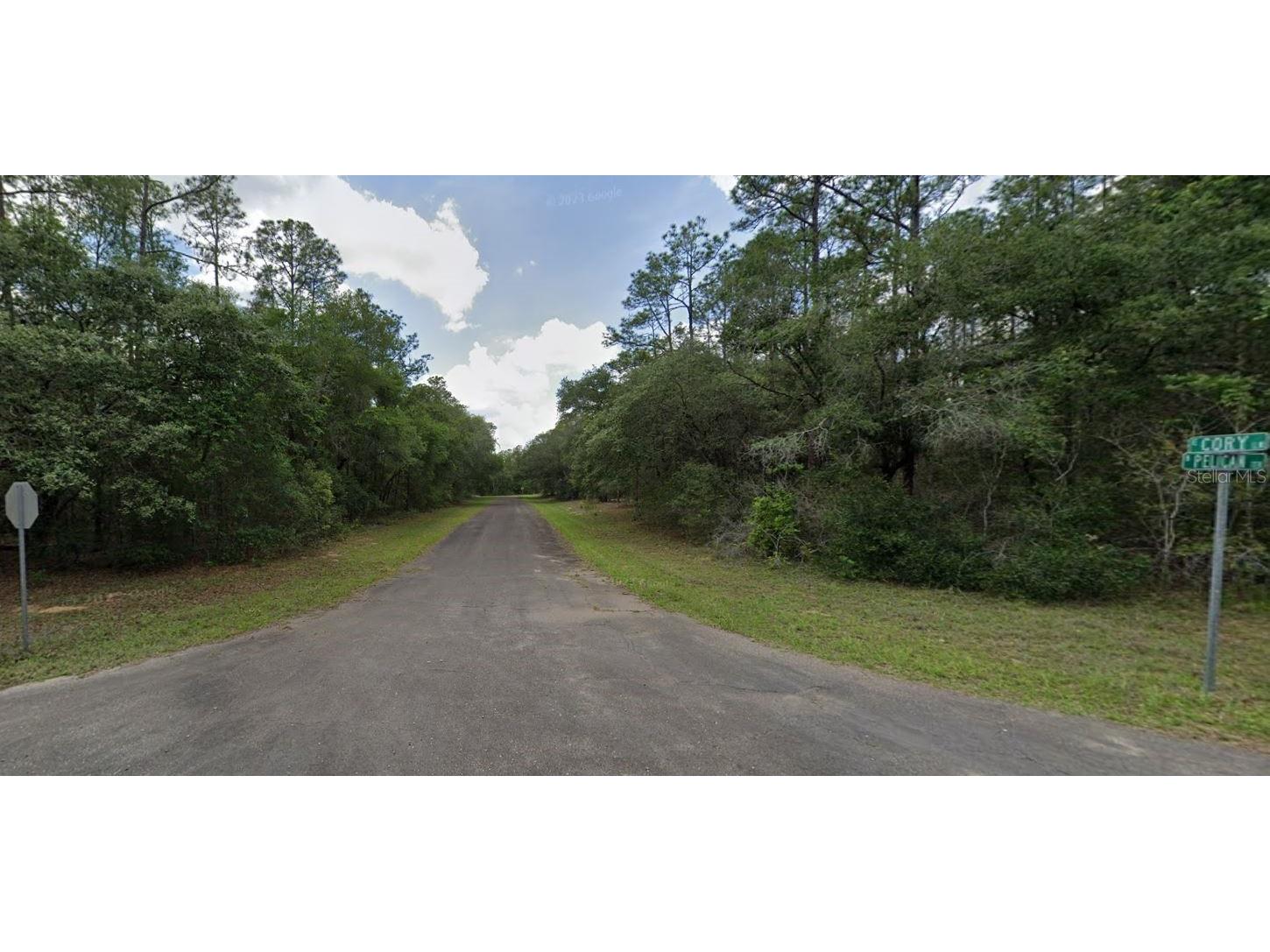 199 E Cory Lane Dunnellon FL 34434 T3533853 image1