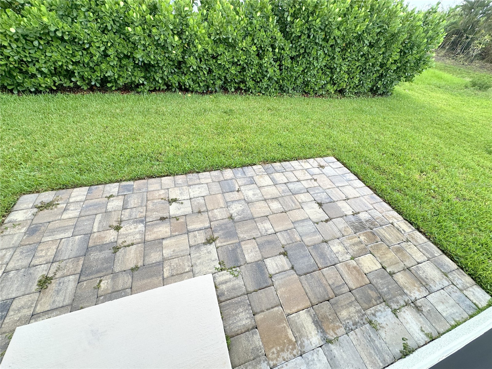 199 Rotonda Boulevard W #C Rotonda West FL 33947 D6147625 image8