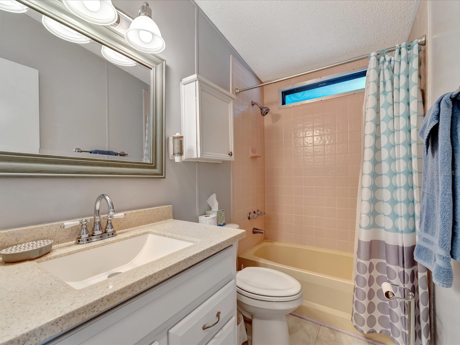 199 S Port Royal Lane Apollo Beach FL 33572 TB8501772 image18