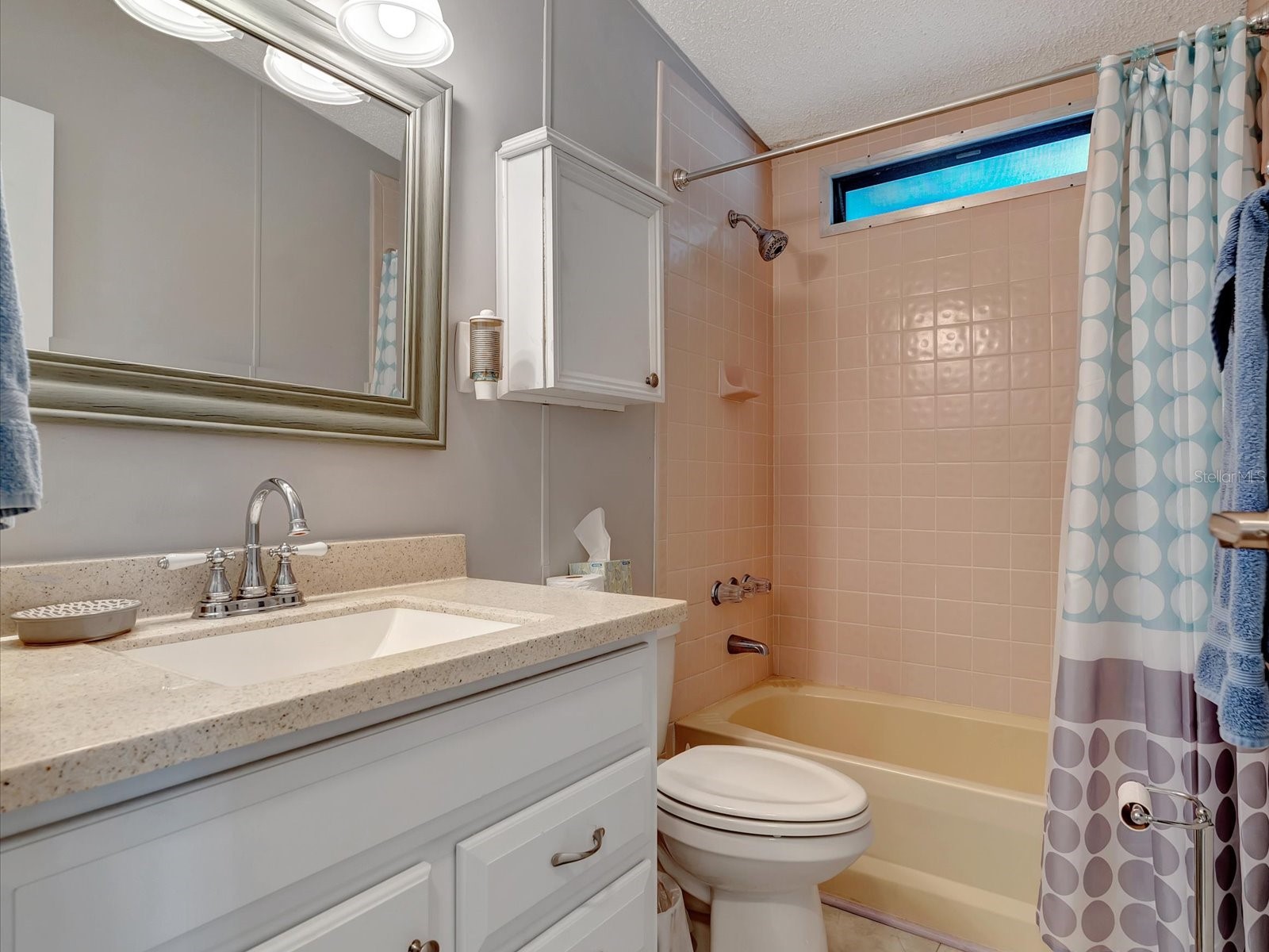 199 S Port Royal Lane Apollo Beach FL 33572 TB8501772 image19