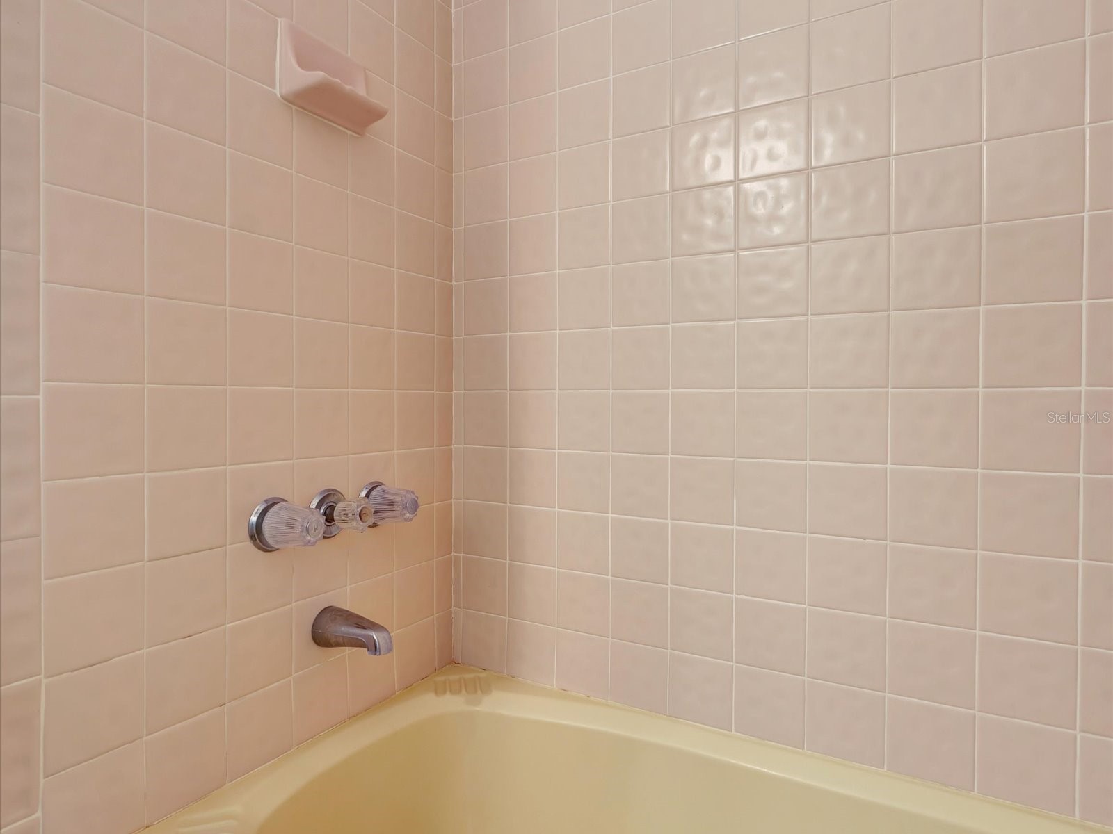 199 S Port Royal Lane Apollo Beach FL 33572 TB8501772 image20