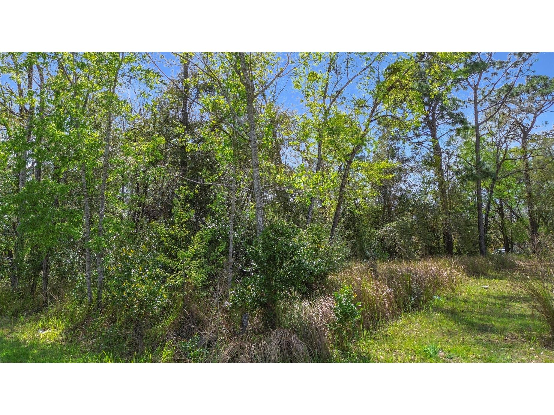 199 Water Track Ocala FL 34472 G5109482 image10