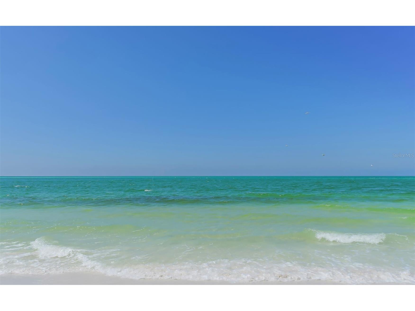 199 Whispering Sands Drive #204 Sarasota FL 34242 - GULF OF AMERICA A4684412 image49