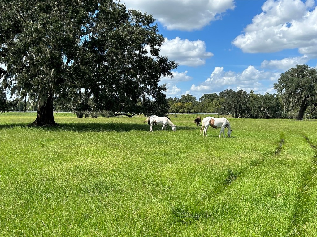 1990 E Main Street, Wauchula, FL, 33873 MLS O6009875 Edina Realty