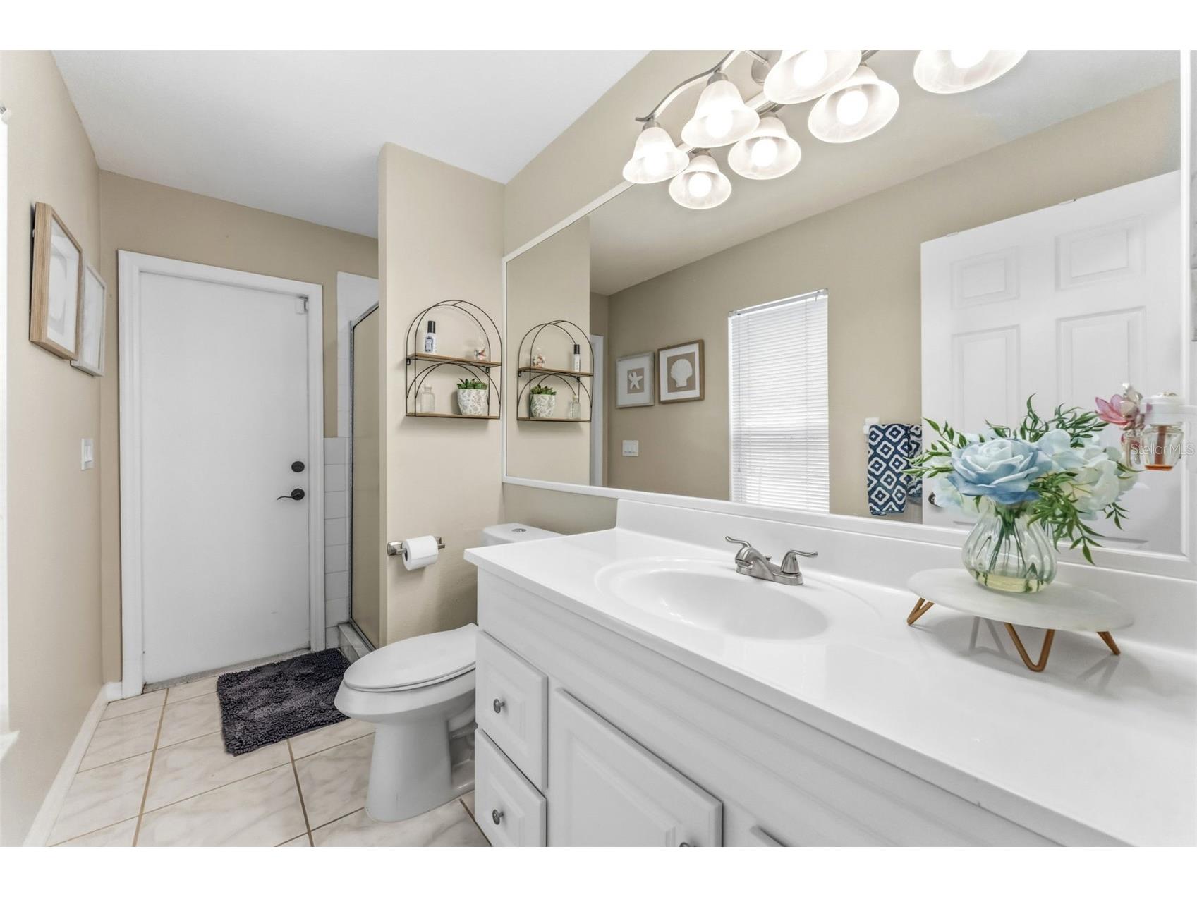 19906 Jodi Drive Lutz FL 33558 TB8528374 image36