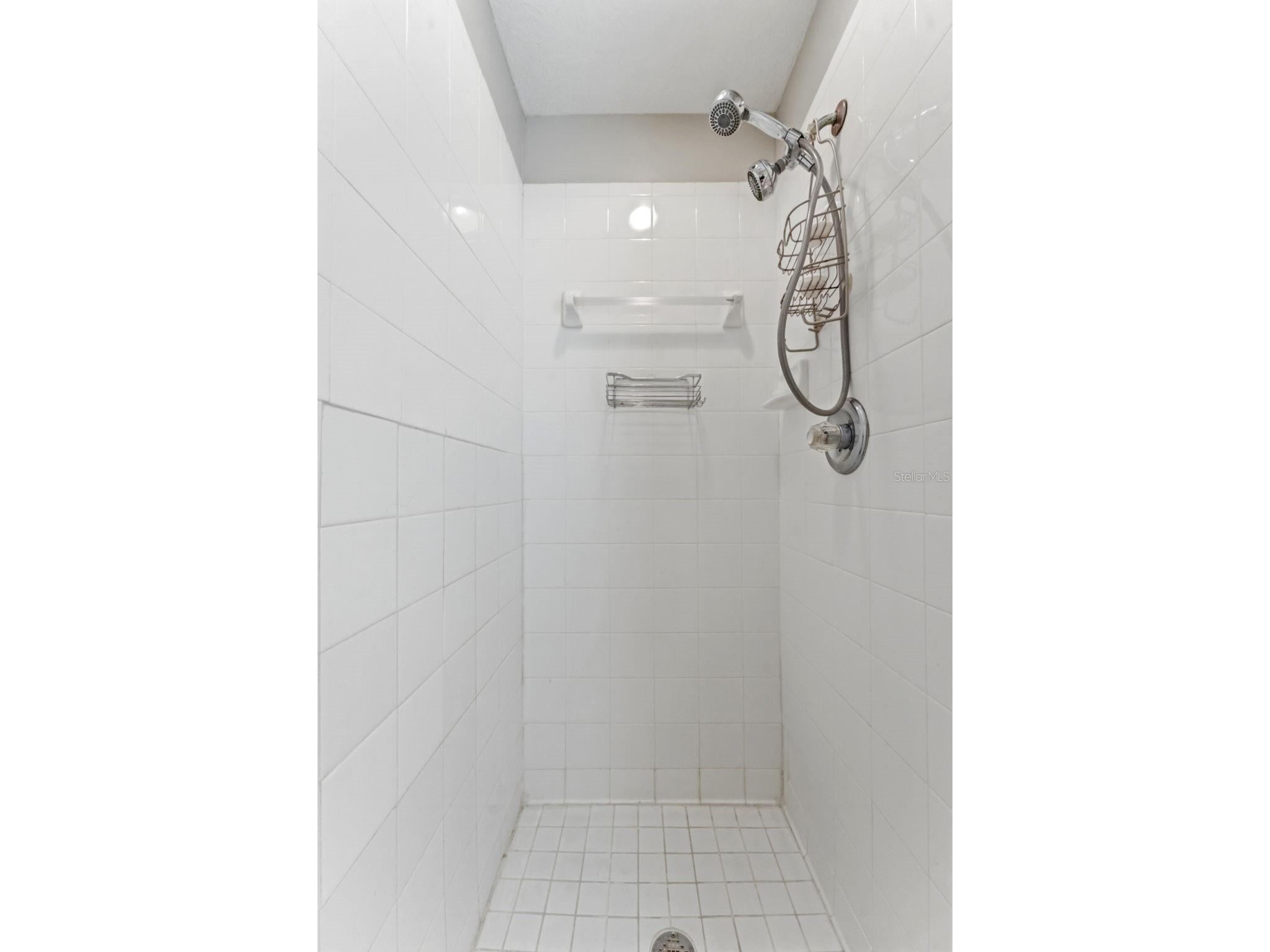 19906 Jodi Drive Lutz FL 33558 TB8528374 image37
