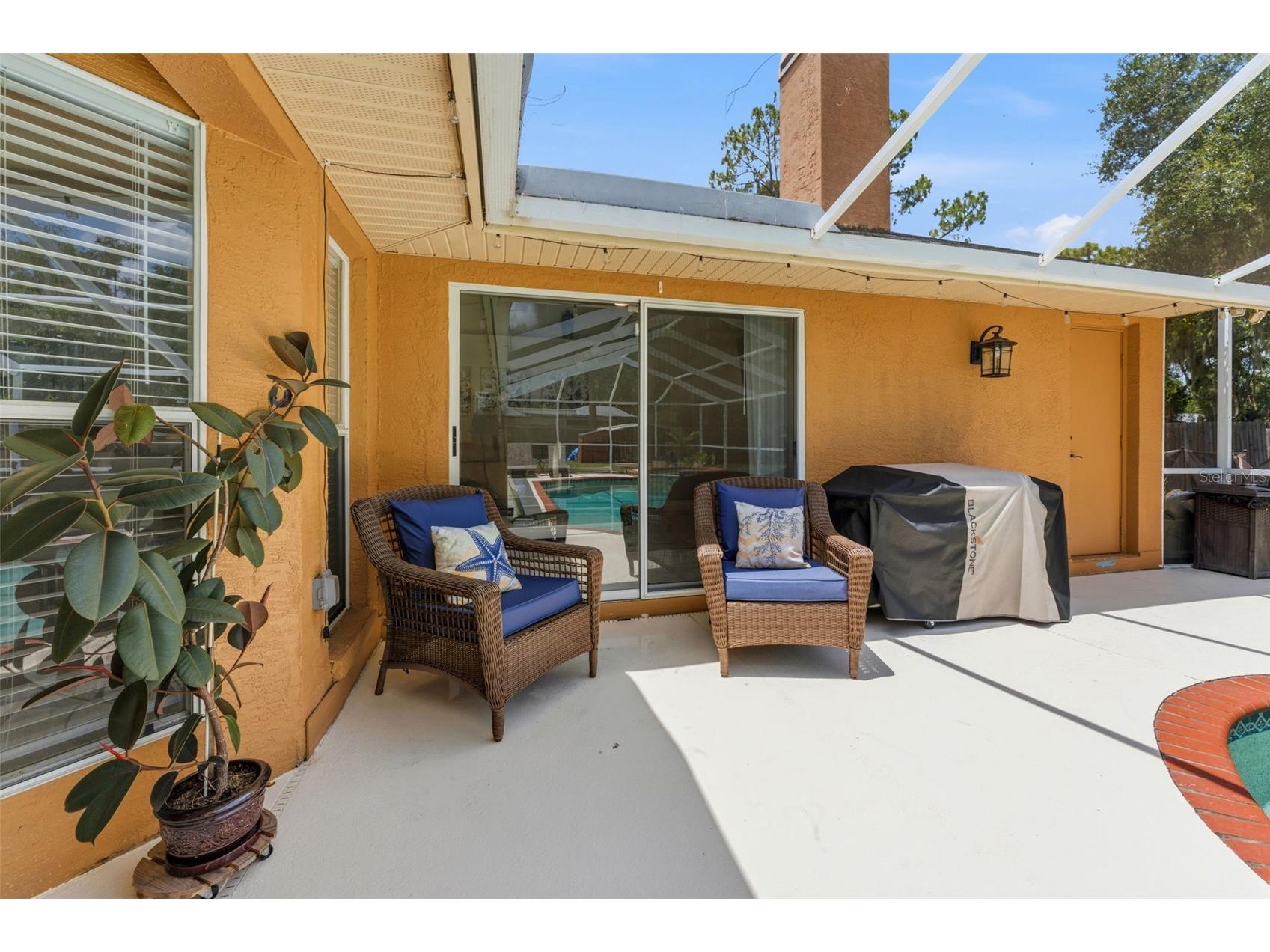 19906 Jodi Drive Lutz FL 33558 TB8528374 image43