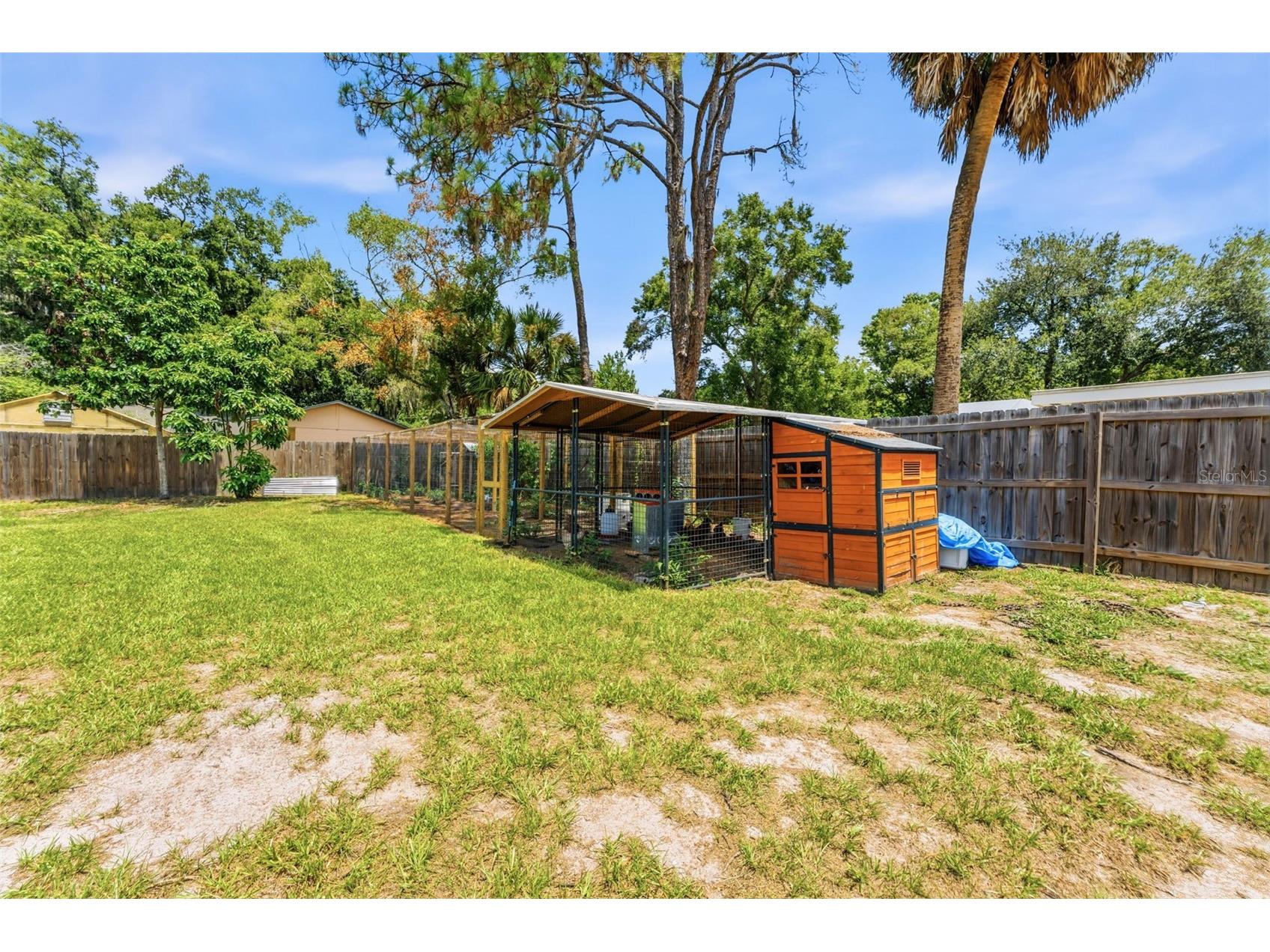 19906 Jodi Drive Lutz FL 33558 TB8528374 image47