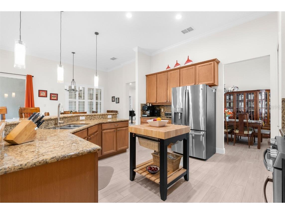 19906 Tattnall Way Brooksville FL 34601 W7879313 image15