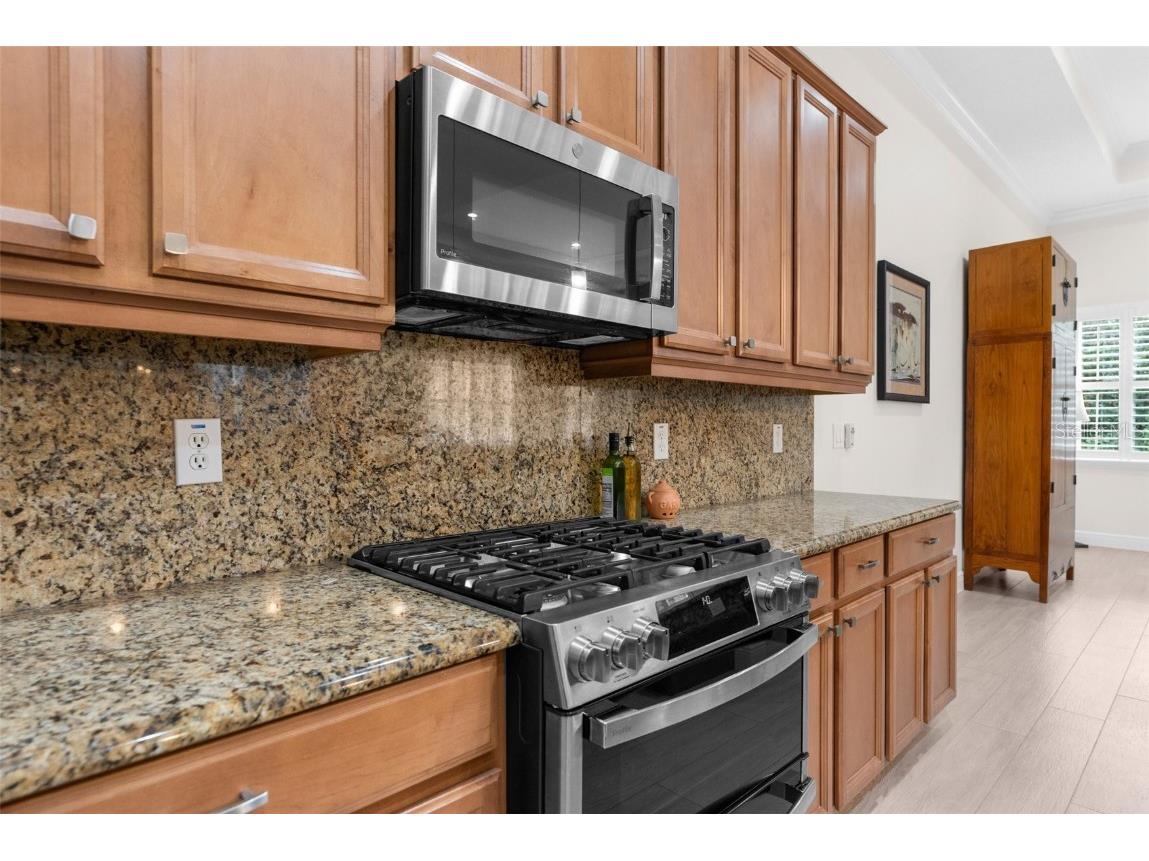 19906 Tattnall Way Brooksville FL 34601 W7879313 image16