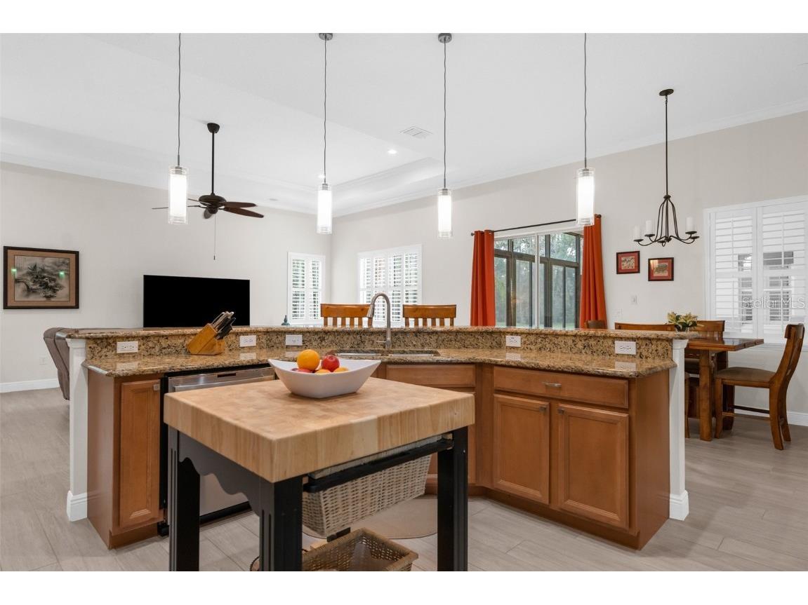 19906 Tattnall Way Brooksville FL 34601 W7879313 image17