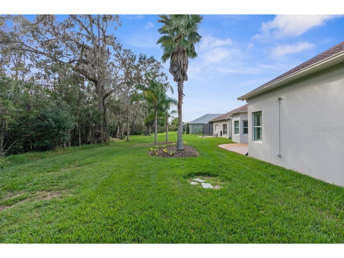 19906 Tattnall Way Brooksville FL 34601 W7879313 image42