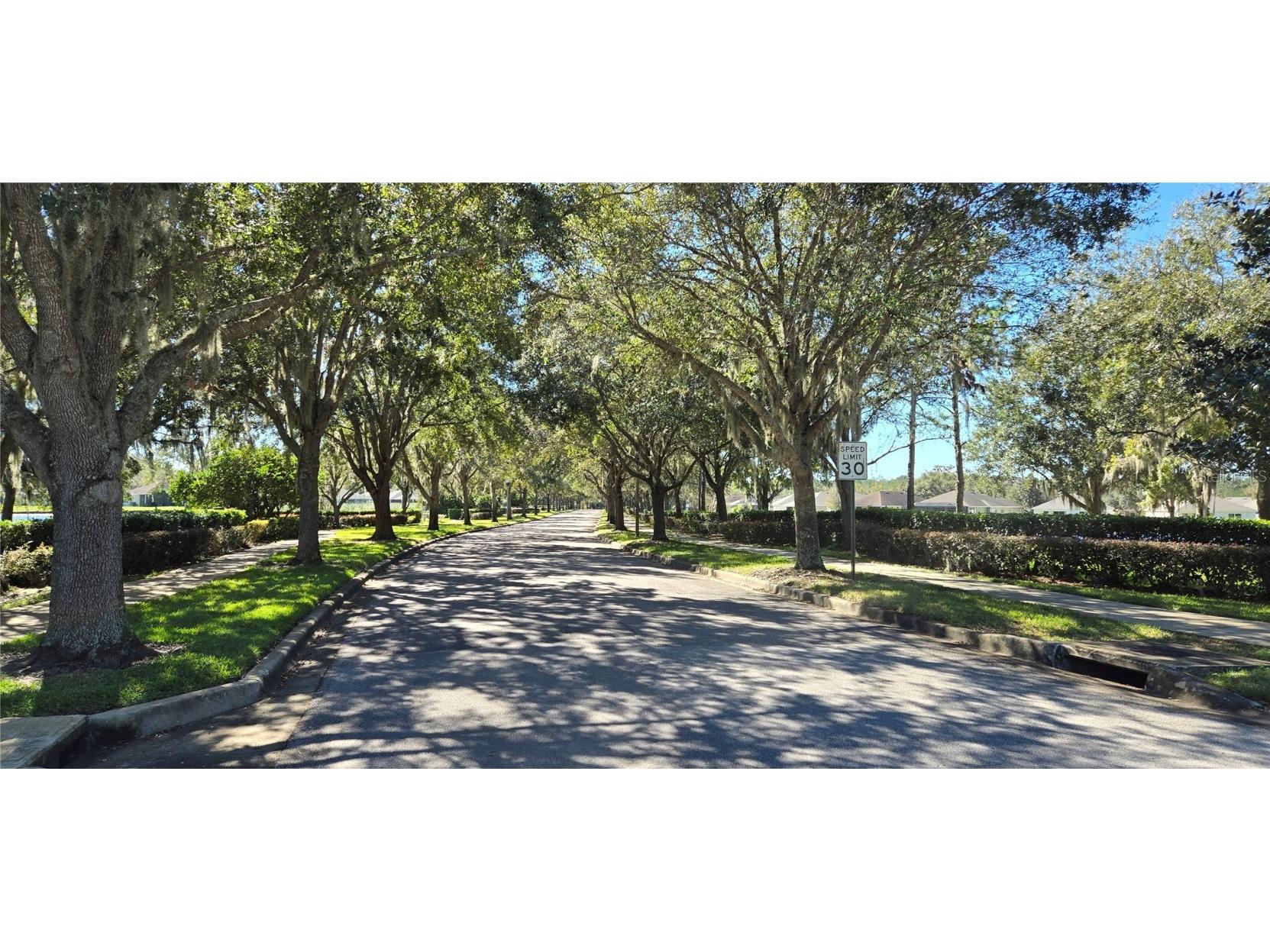 19906 Tattnall Way Brooksville FL 34601 W7879313 image52