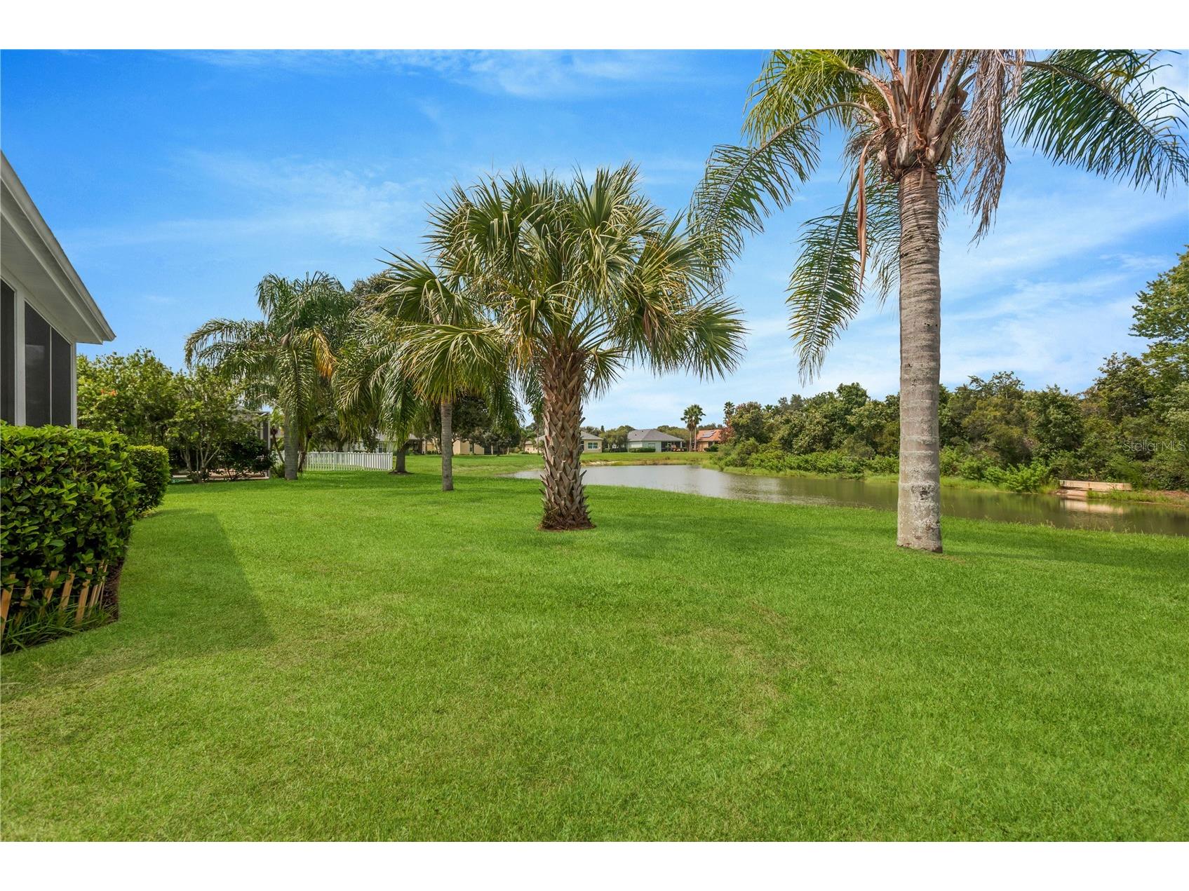 19908 Bluff Oak Boulevard Tampa FL 33647 TB8531037 image11