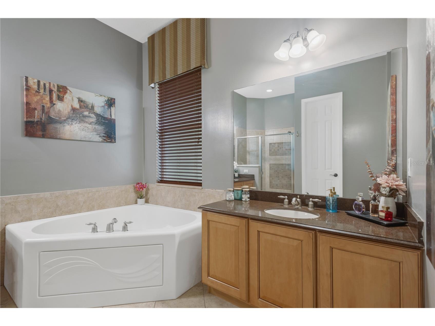 19908 Bluff Oak Boulevard Tampa FL 33647 TB8531037 image19