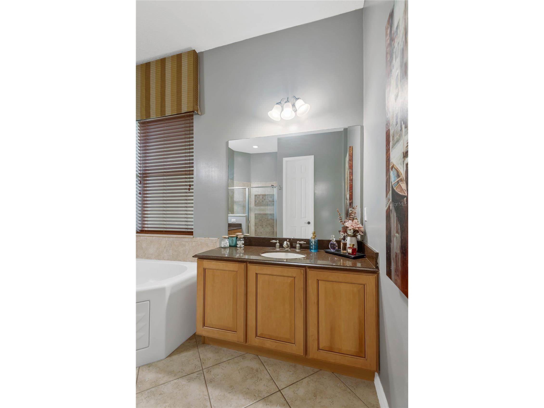 19908 Bluff Oak Boulevard Tampa FL 33647 TB8531037 image22