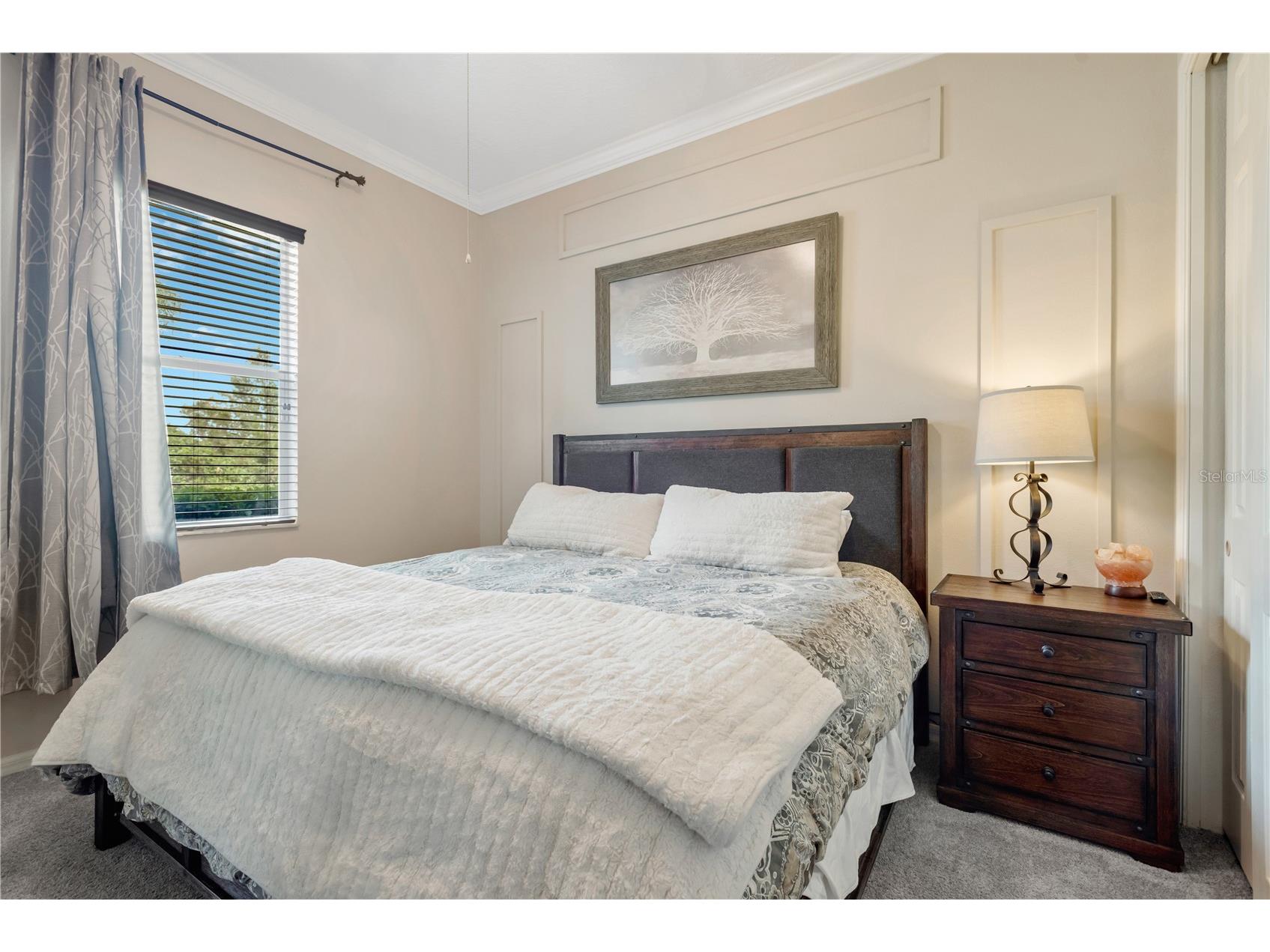 19908 Bluff Oak Boulevard Tampa FL 33647 TB8531037 image29
