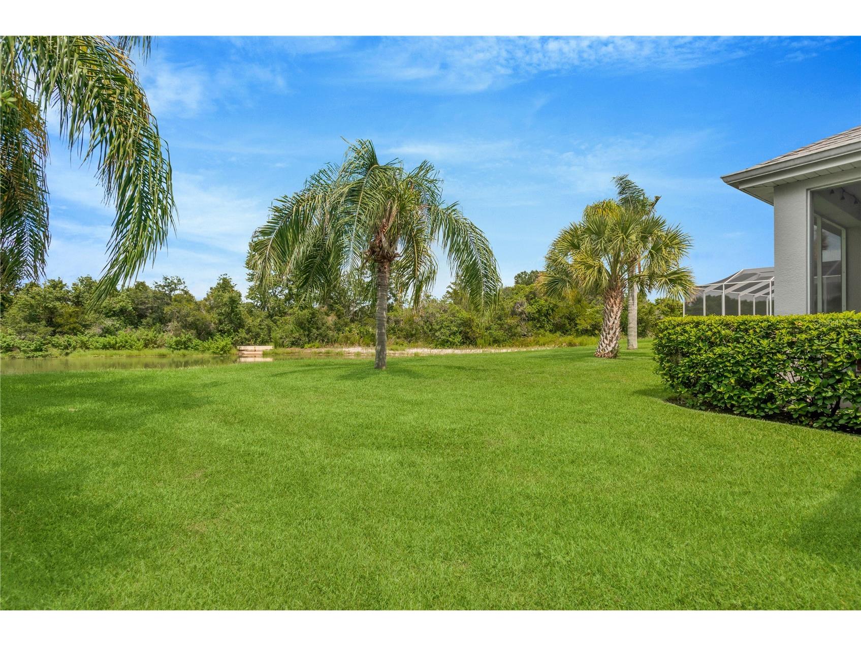 19908 Bluff Oak Boulevard Tampa FL 33647 TB8531037 image35