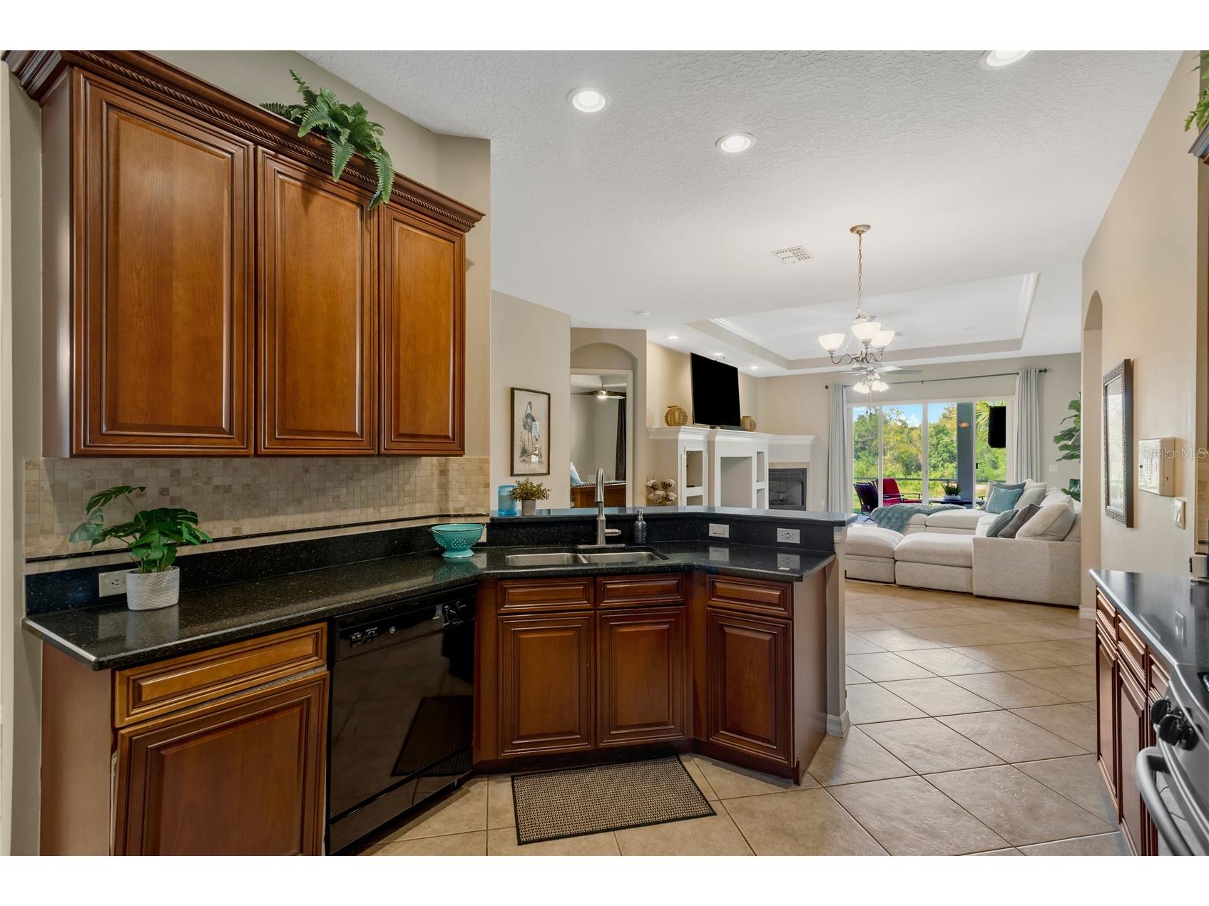 19908 Bluff Oak Boulevard Tampa FL 33647 TB8531037 image4