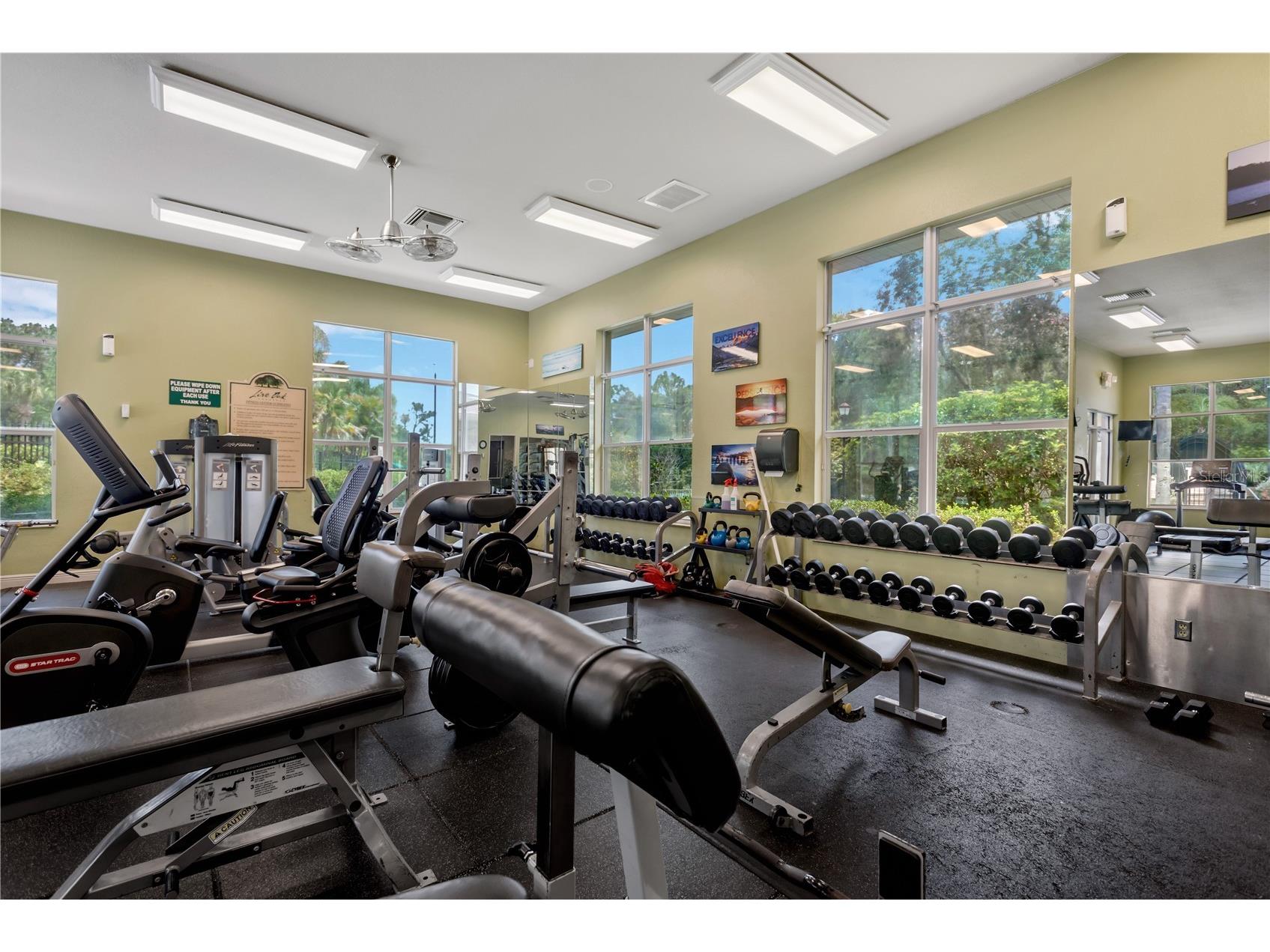19908 Bluff Oak Boulevard Tampa FL 33647 TB8531037 image42