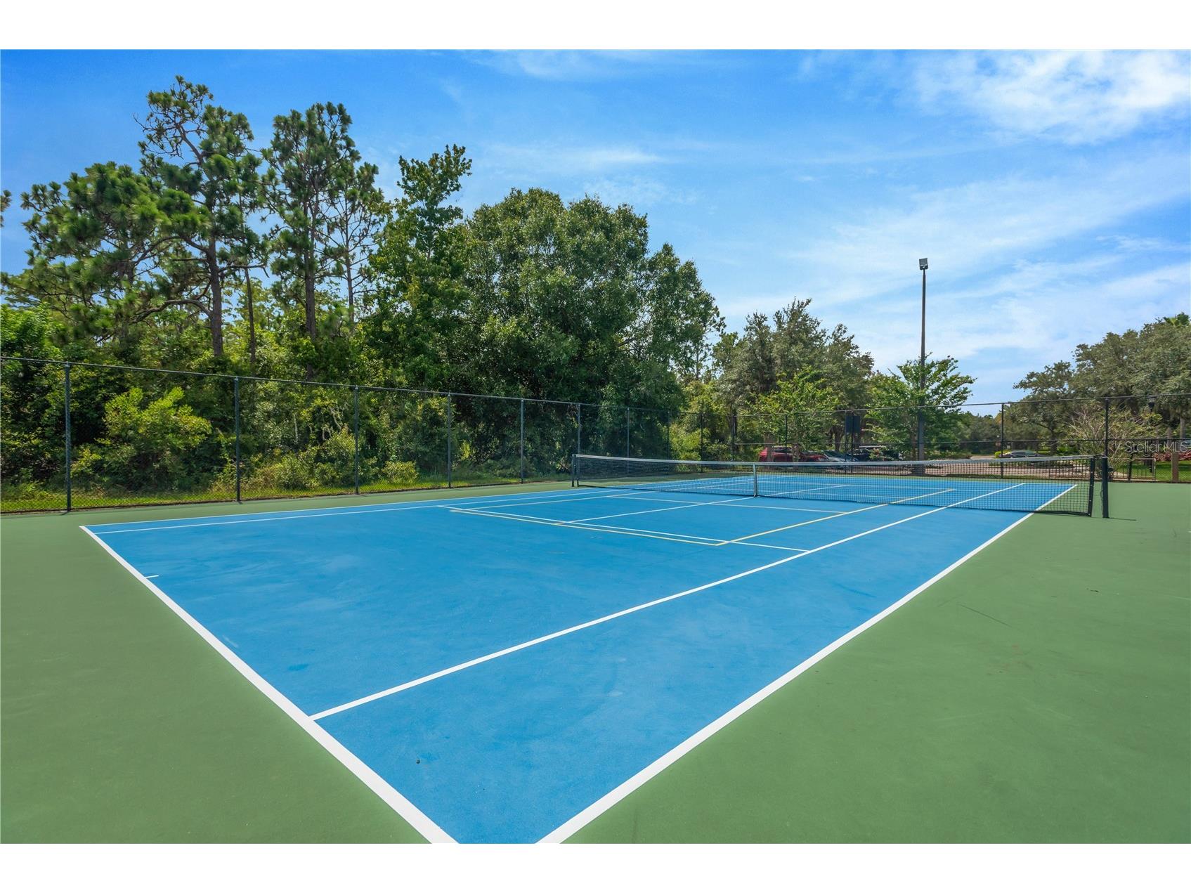 19908 Bluff Oak Boulevard Tampa FL 33647 TB8531037 image43