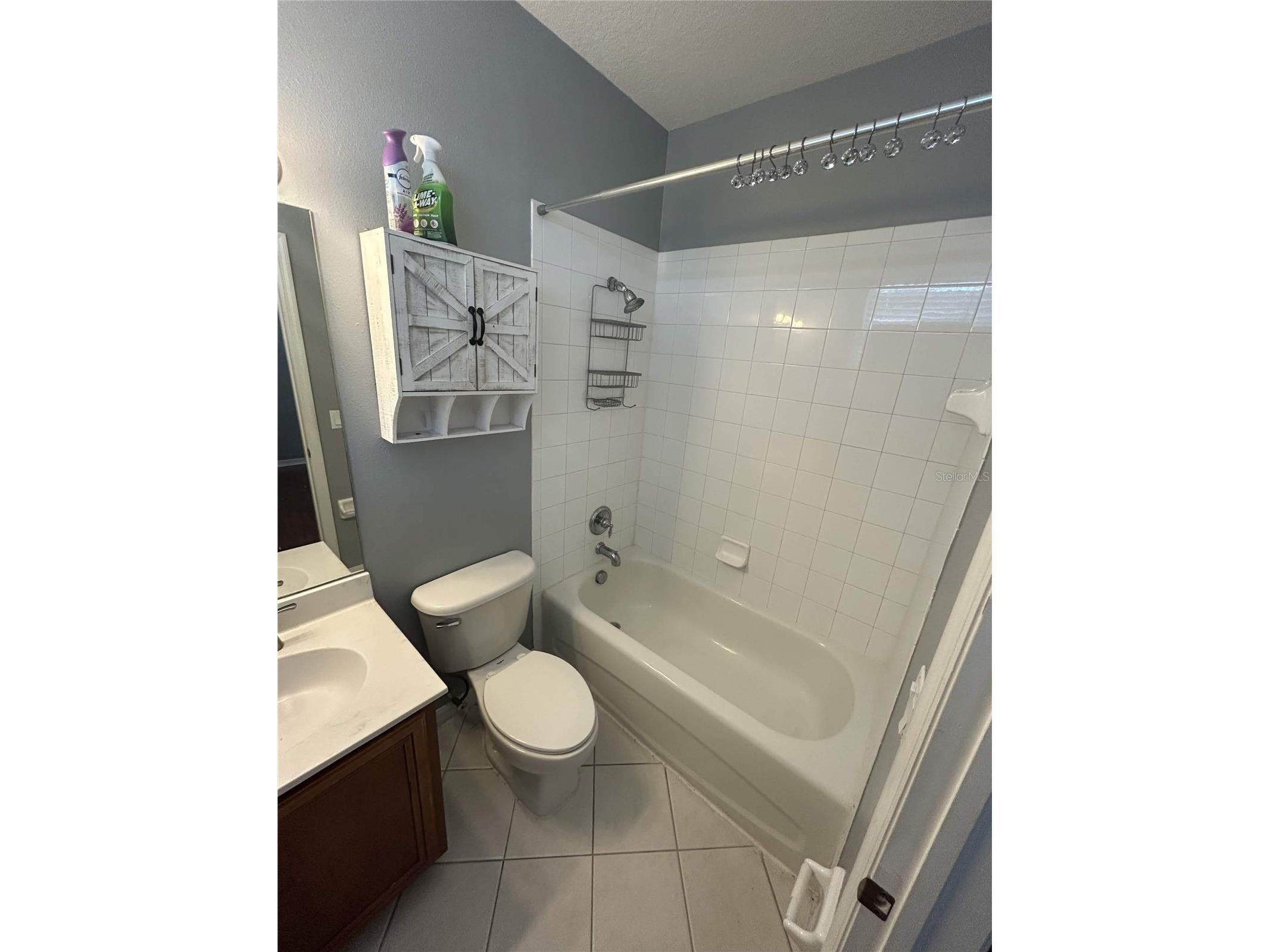 19909 Bluff Oak Boulevard Tampa FL 33647 TB8516137 image26