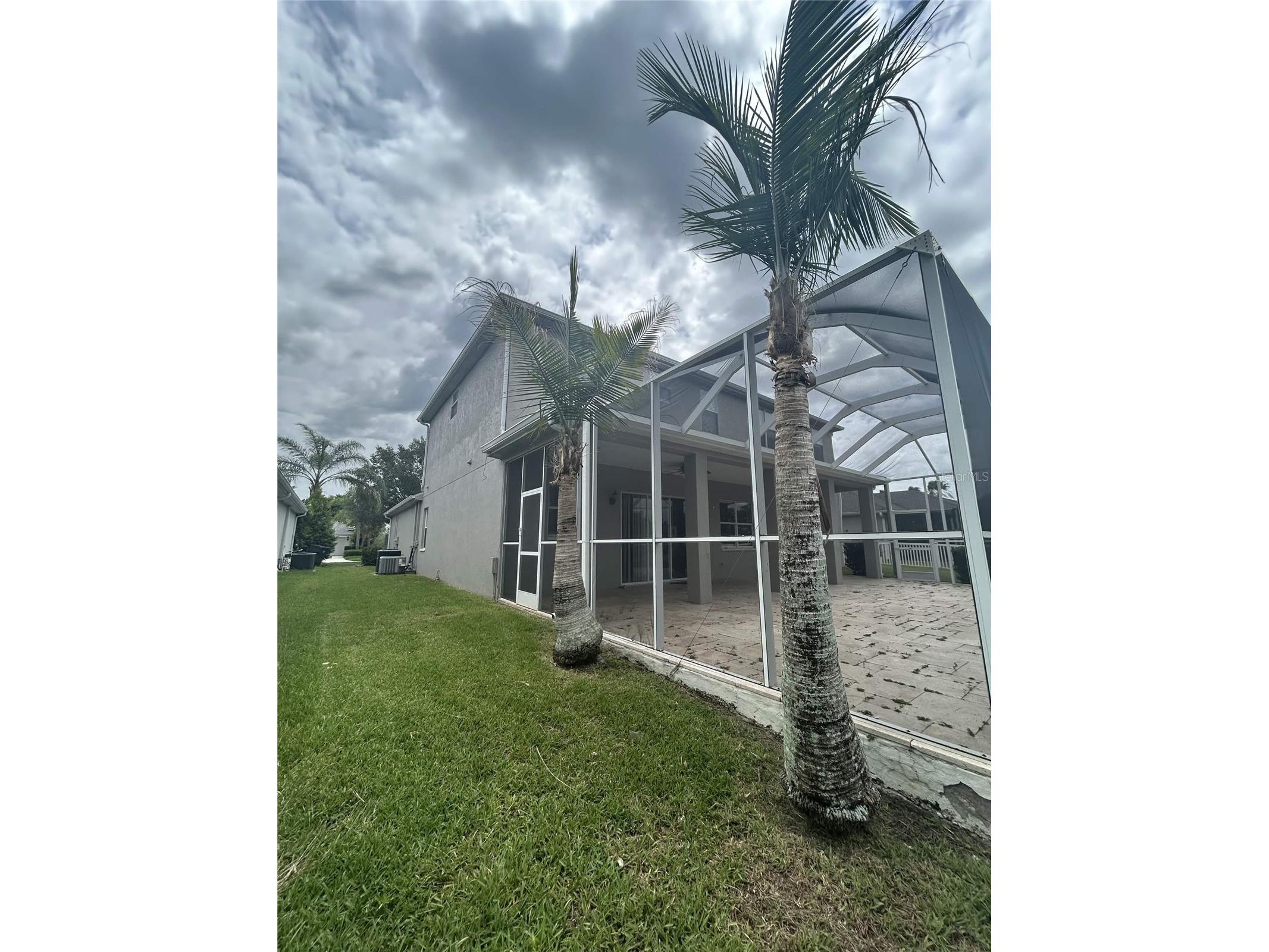 19909 Bluff Oak Boulevard Tampa FL 33647 TB8516137 image6