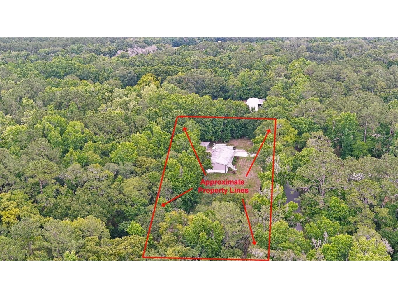 19909 Manecke Road Brooksville FL 34601 T3529419 image1