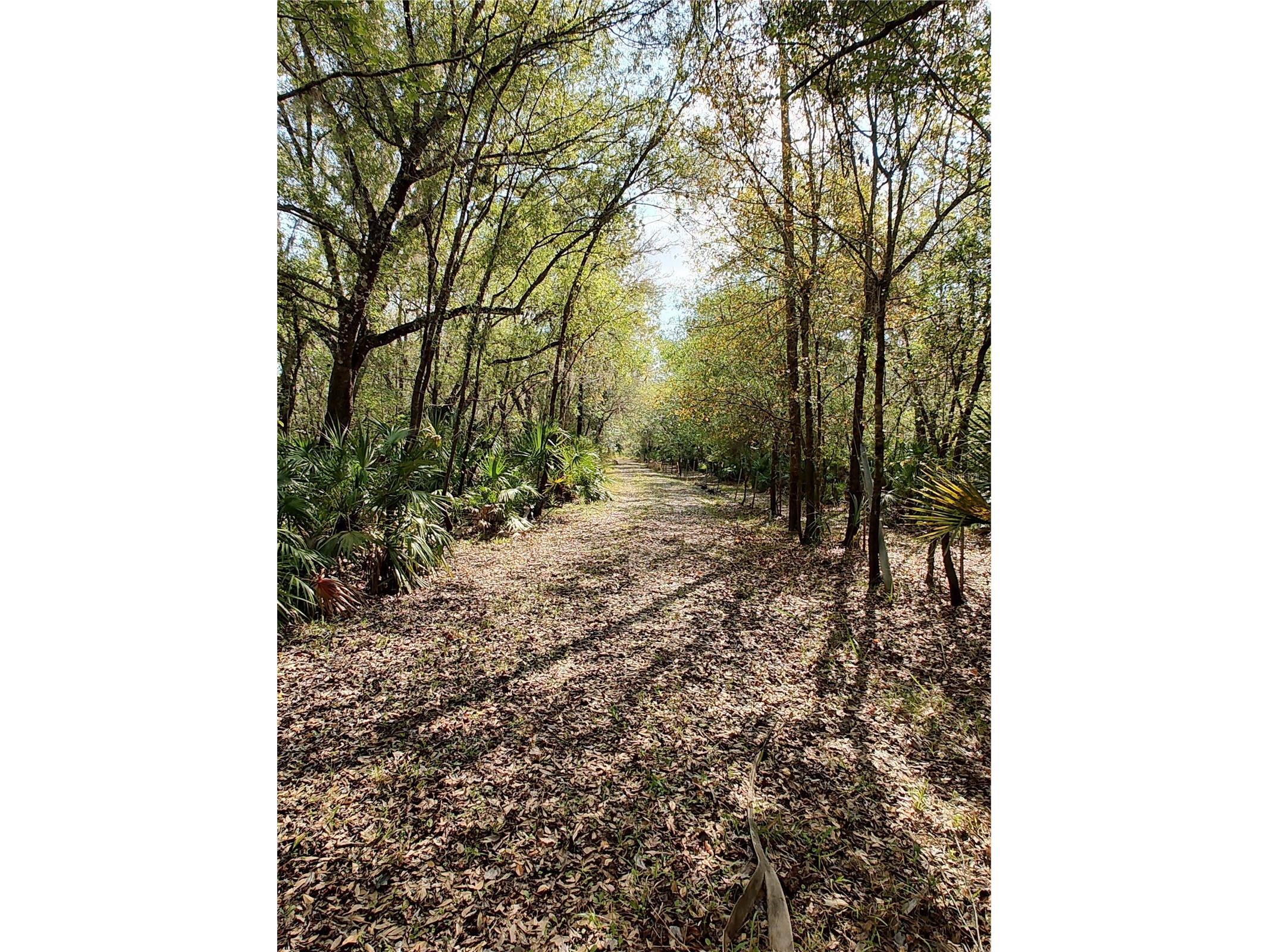 1991 NW Girl Scout Road Arcadia FL 34266 - PEACE RIVER J999724 image1