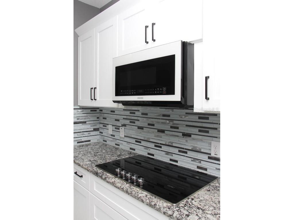 1991 Sanderlin Point Loop Apopka FL 32703 A4645457 image4