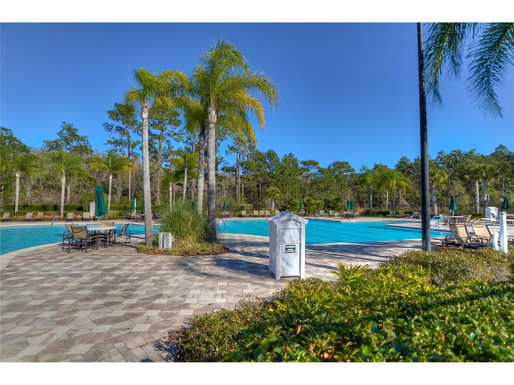 19914 Bluff Oak Boulevard Tampa FL 33647 TB8480539 image34