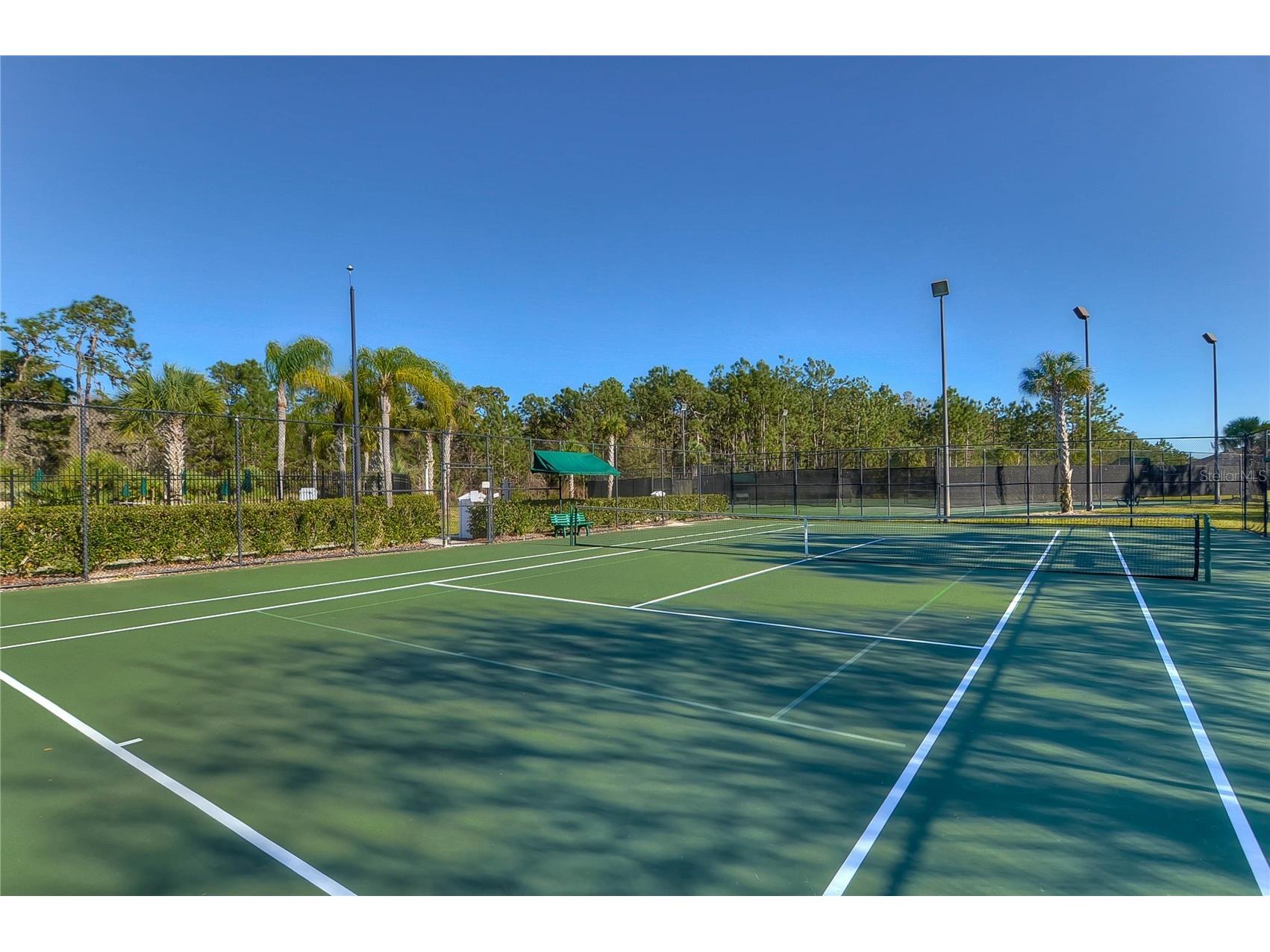 19914 Bluff Oak Boulevard Tampa FL 33647 TB8480539 image35