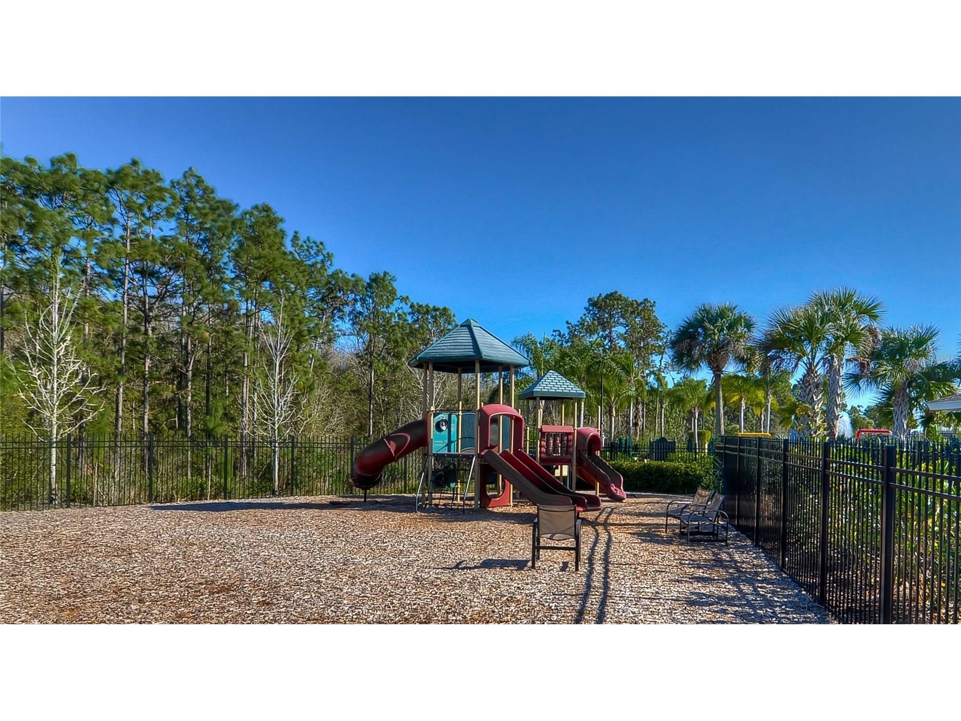 19914 Bluff Oak Boulevard Tampa FL 33647 TB8480539 image36