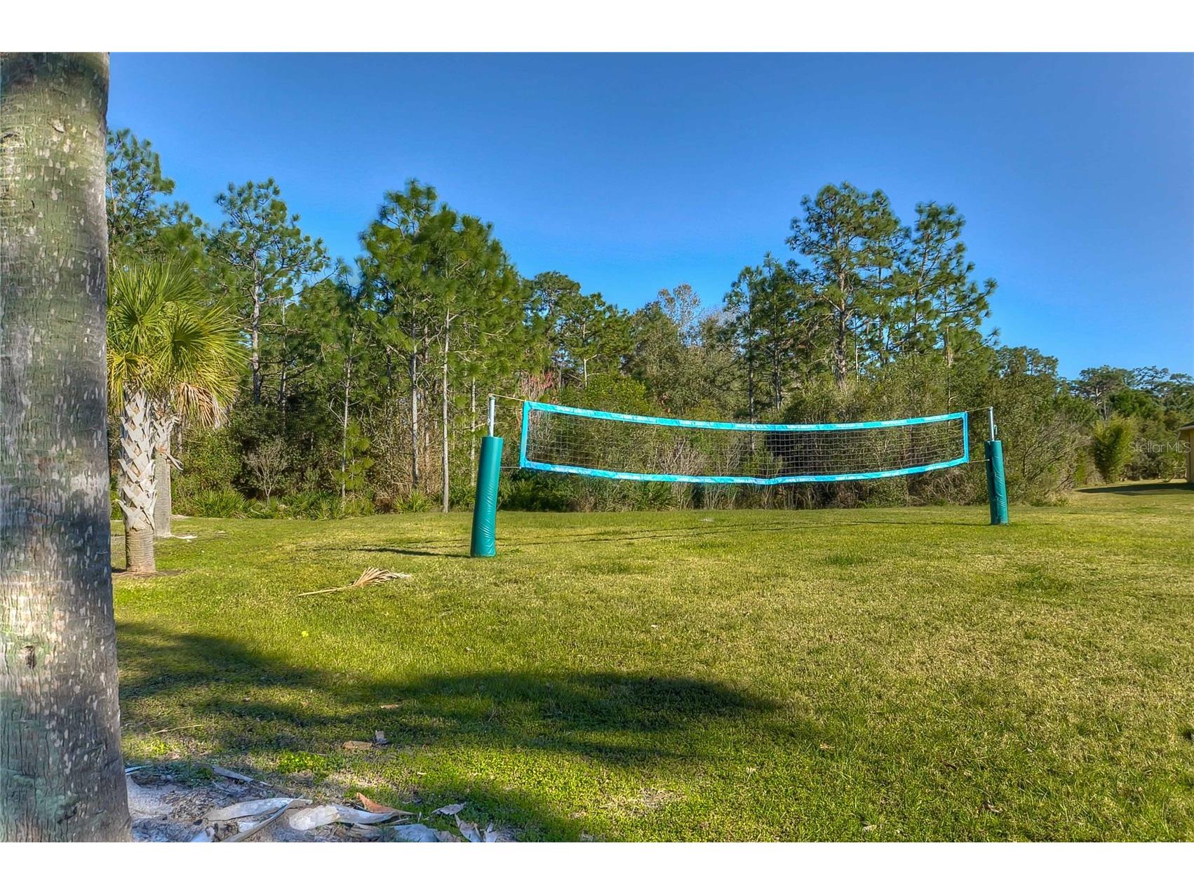 19914 Bluff Oak Boulevard Tampa FL 33647 TB8480539 image37