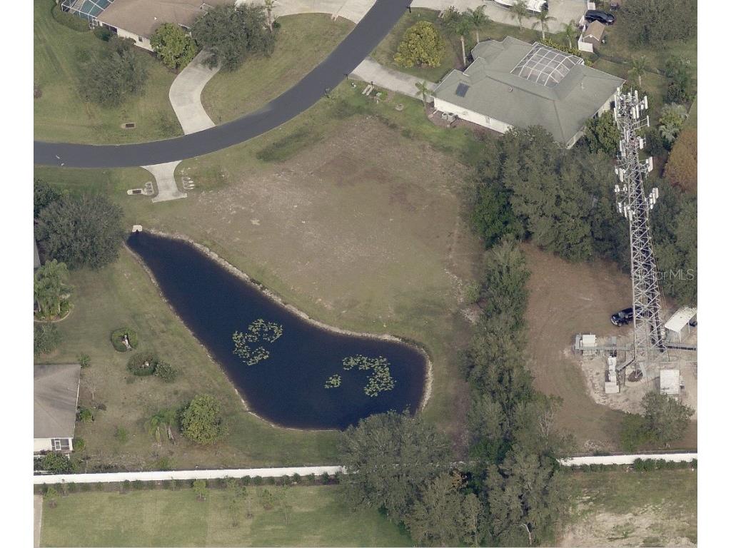 19915 Dolores Ann Court Lutz FL 33549 T3453915 image6