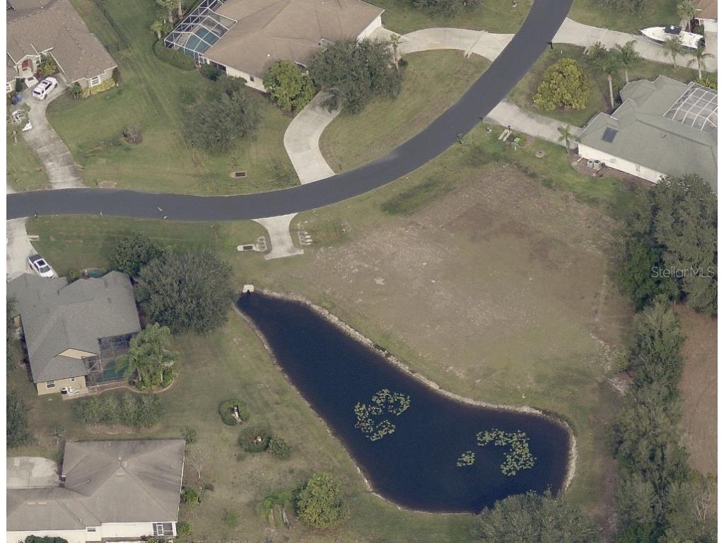 19915 Dolores Ann Court Lutz FL 33549 T3453915 image7