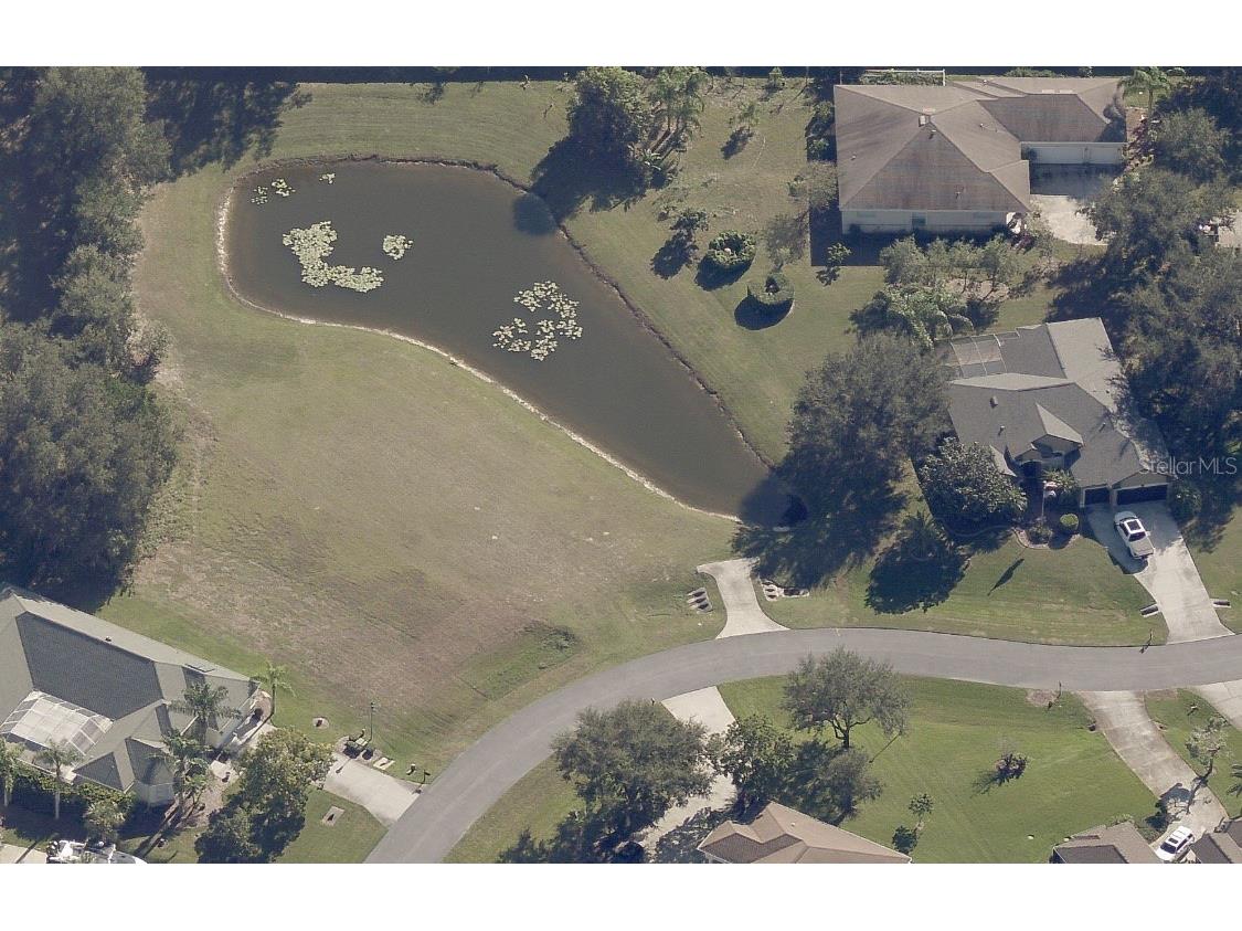 19915 Dolores Ann Court Lutz FL 33549 TB8488375 image5