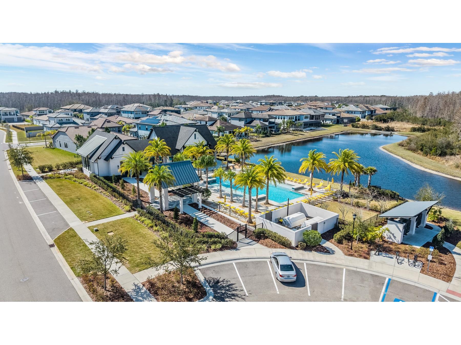 19920 Cypress Bridge Drive Odessa FL 33556 TB8478216 image51