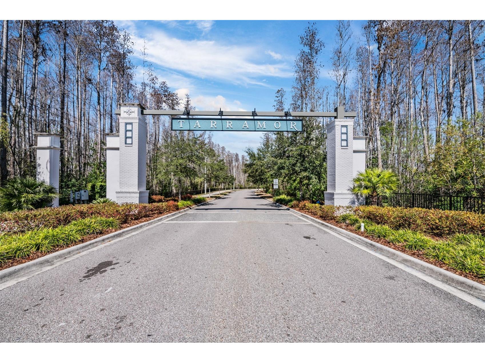 19920 Cypress Bridge Drive Odessa FL 33556 TB8478216 image55