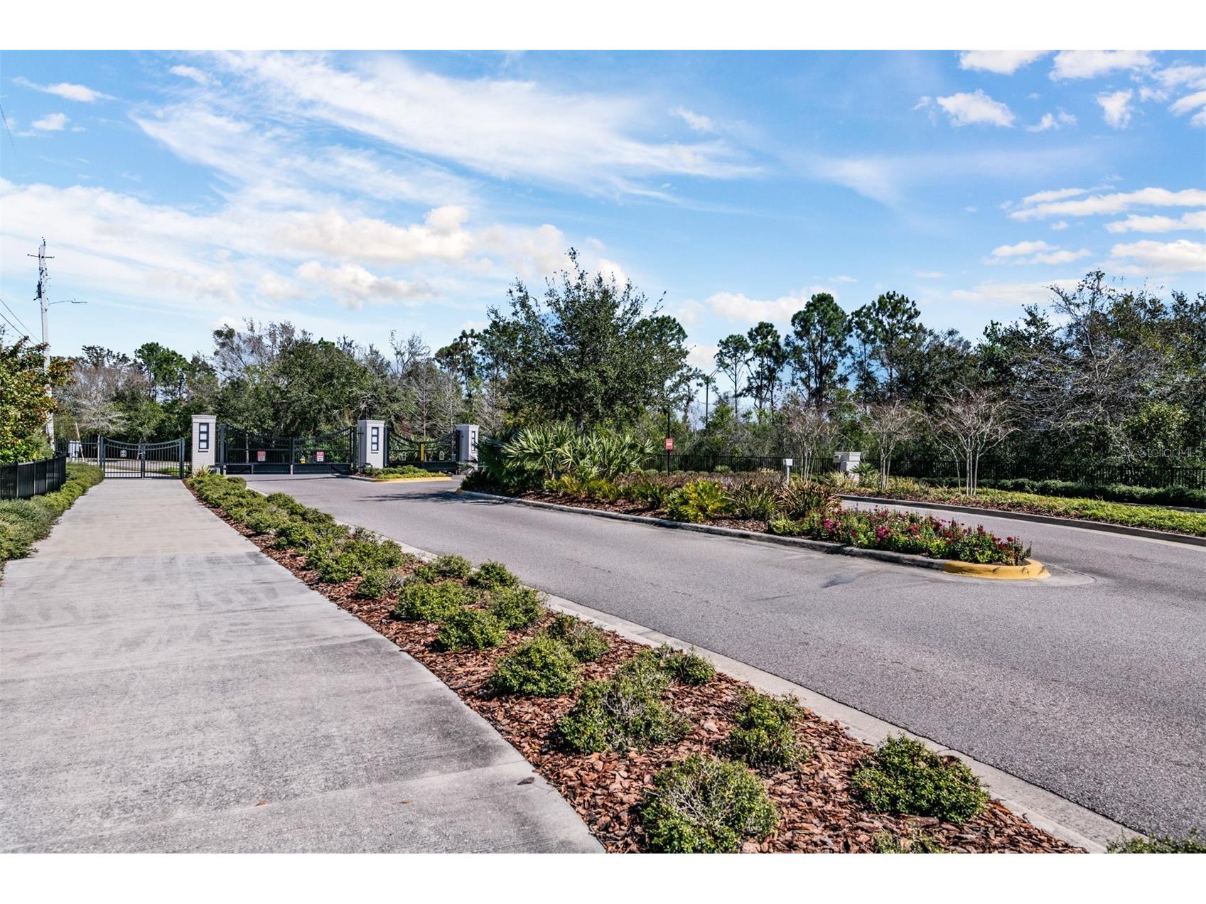 19920 Cypress Bridge Drive Odessa FL 33556 TB8478216 image56