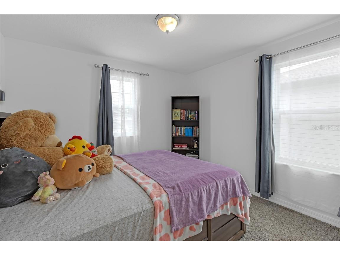 19926 Stone Pine Circle Lutz FL 33558 TB8449645 image19