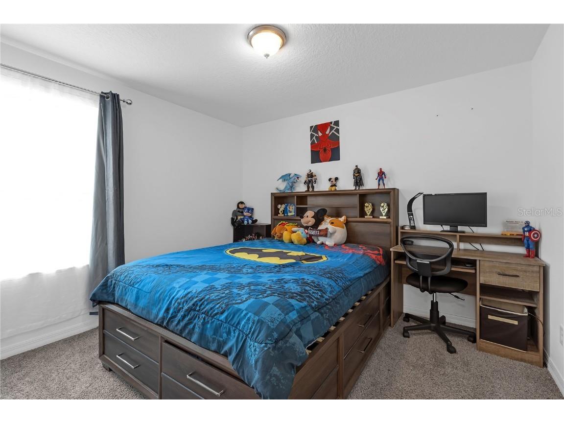 19926 Stone Pine Circle Lutz FL 33558 TB8449645 image22