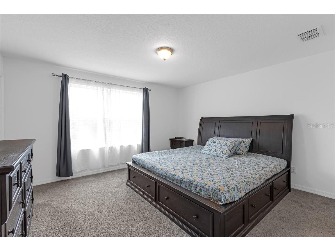 19926 Stone Pine Circle Lutz FL 33558 TB8449645 image24