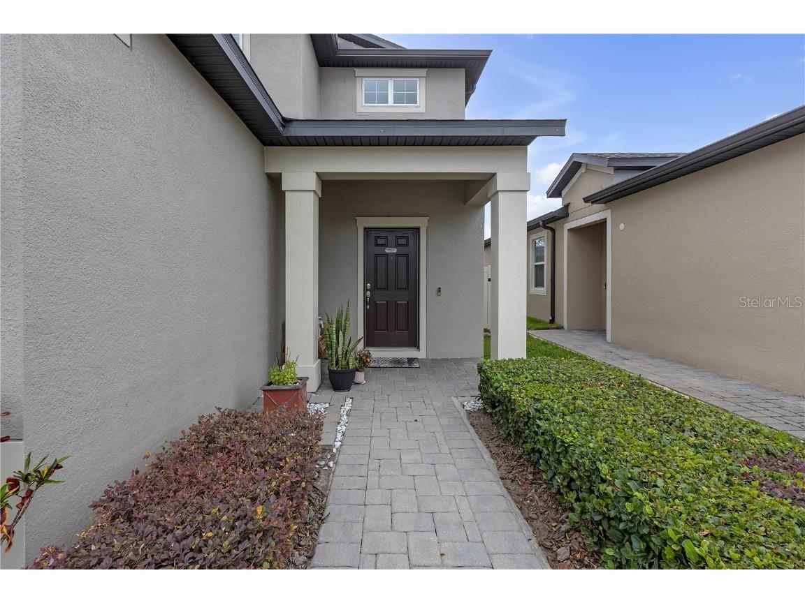 19926 Stone Pine Circle Lutz FL 33558 TB8449645 image43