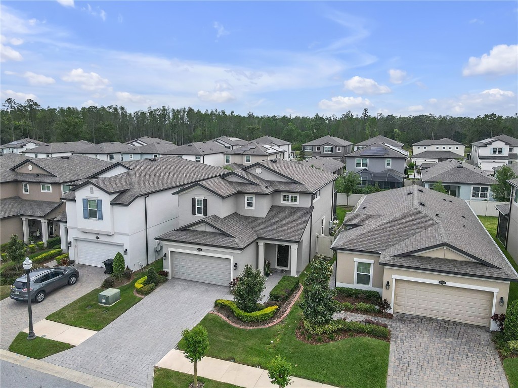 19926 Stone Pine Circle Lutz FL 33558 TB8449645 image44